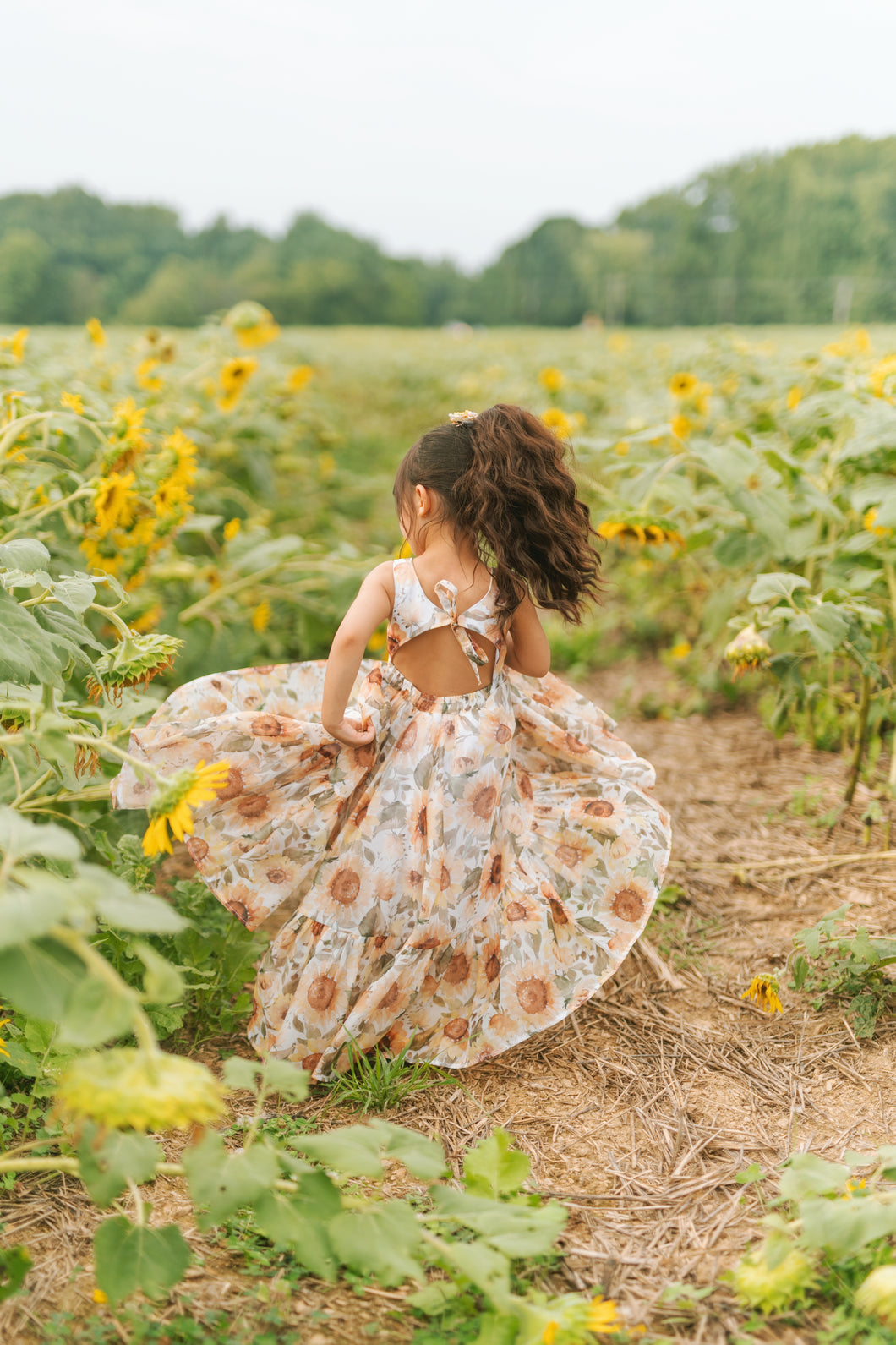 Destiny | sunflowers